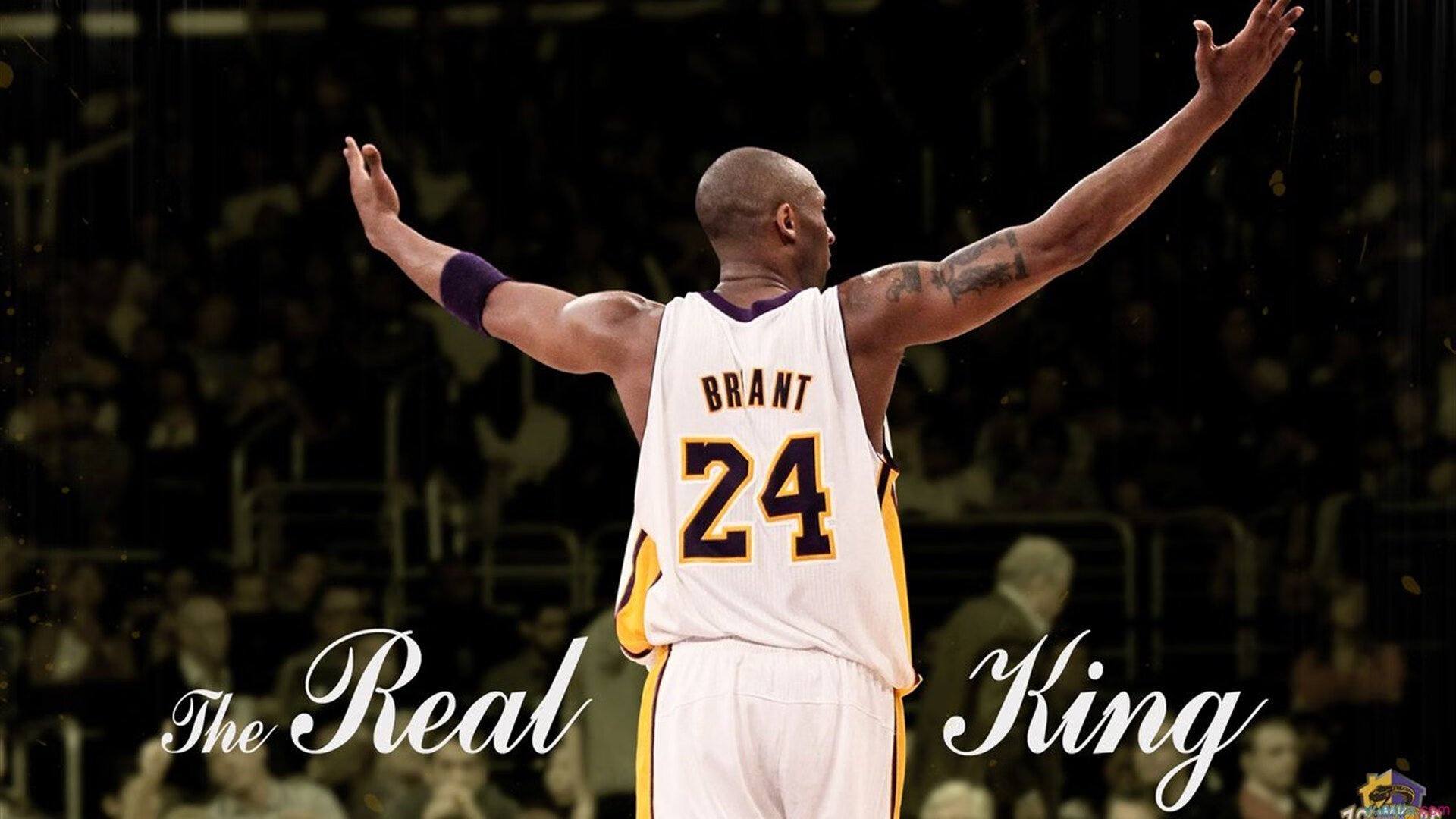 开云体育在线赛事直播-《王者荣耀》荣耀之光决赛爆燃开启，冠军殊途同归！